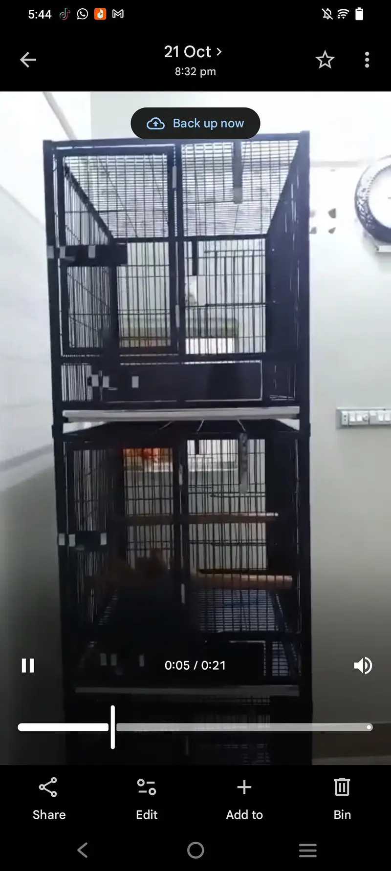 cage for sale — photo 4