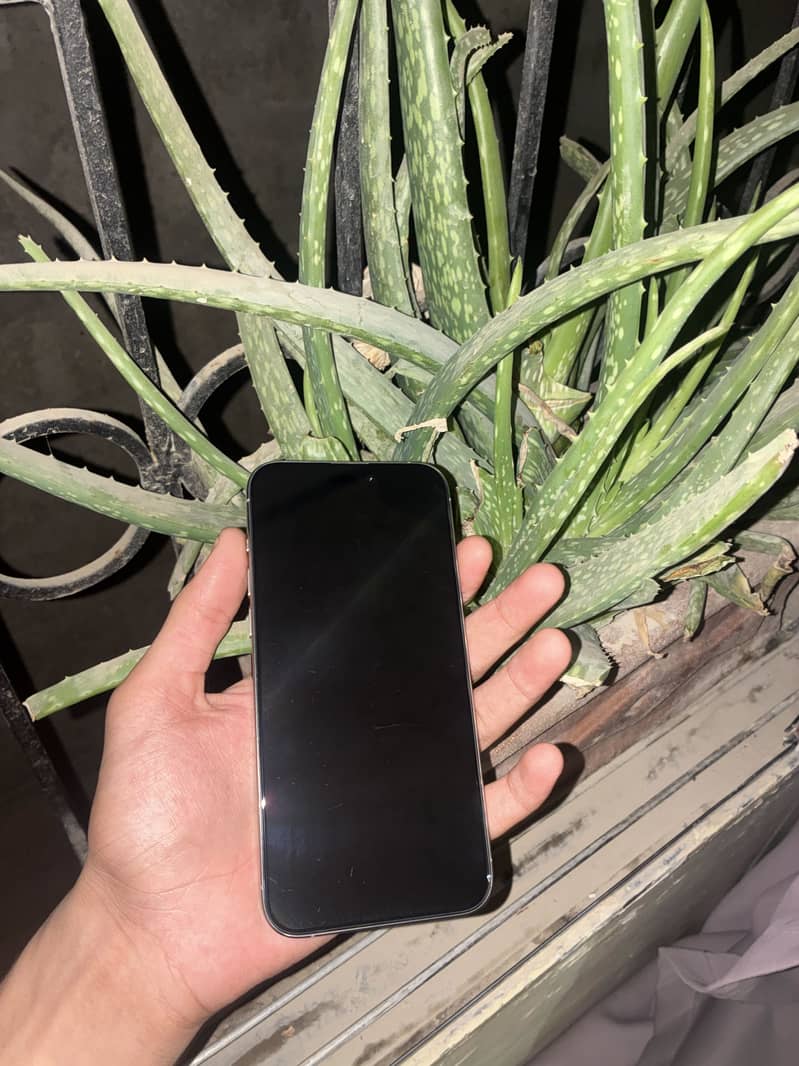 Apple iPhone 15 Pro Max 1