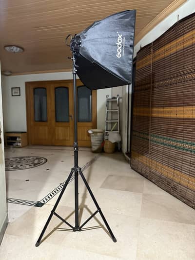 Godox TL-4 Tricolor 2-Light Studio Kit with Softboxes & Stands (Compl