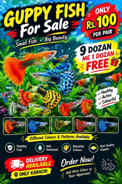 Guppy Fish for Sale 100 Per Pair