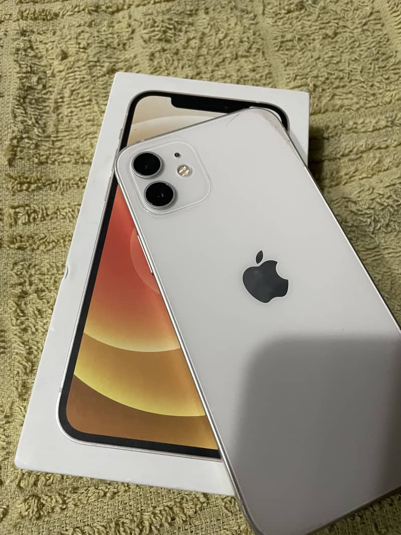 Apple iPhone 12 1