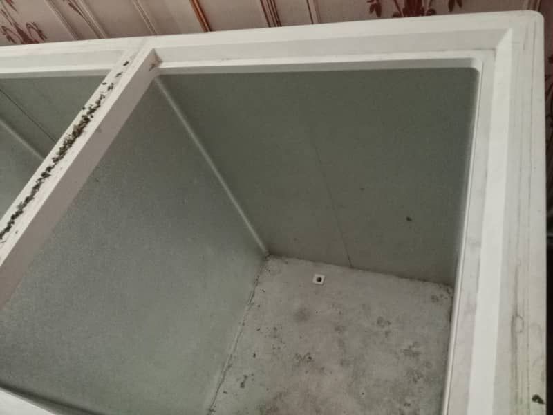 freezer 1