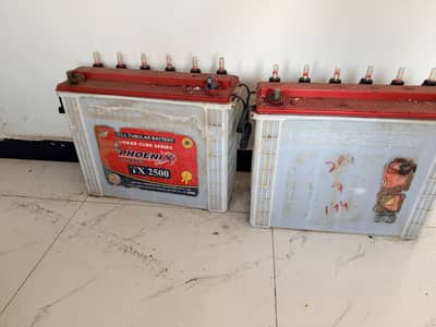 pheonix tubular batteries