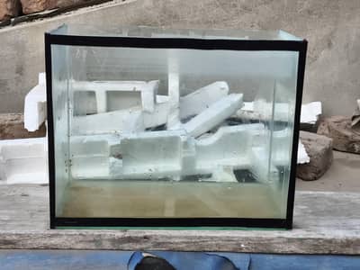 Aquarium for sale with top