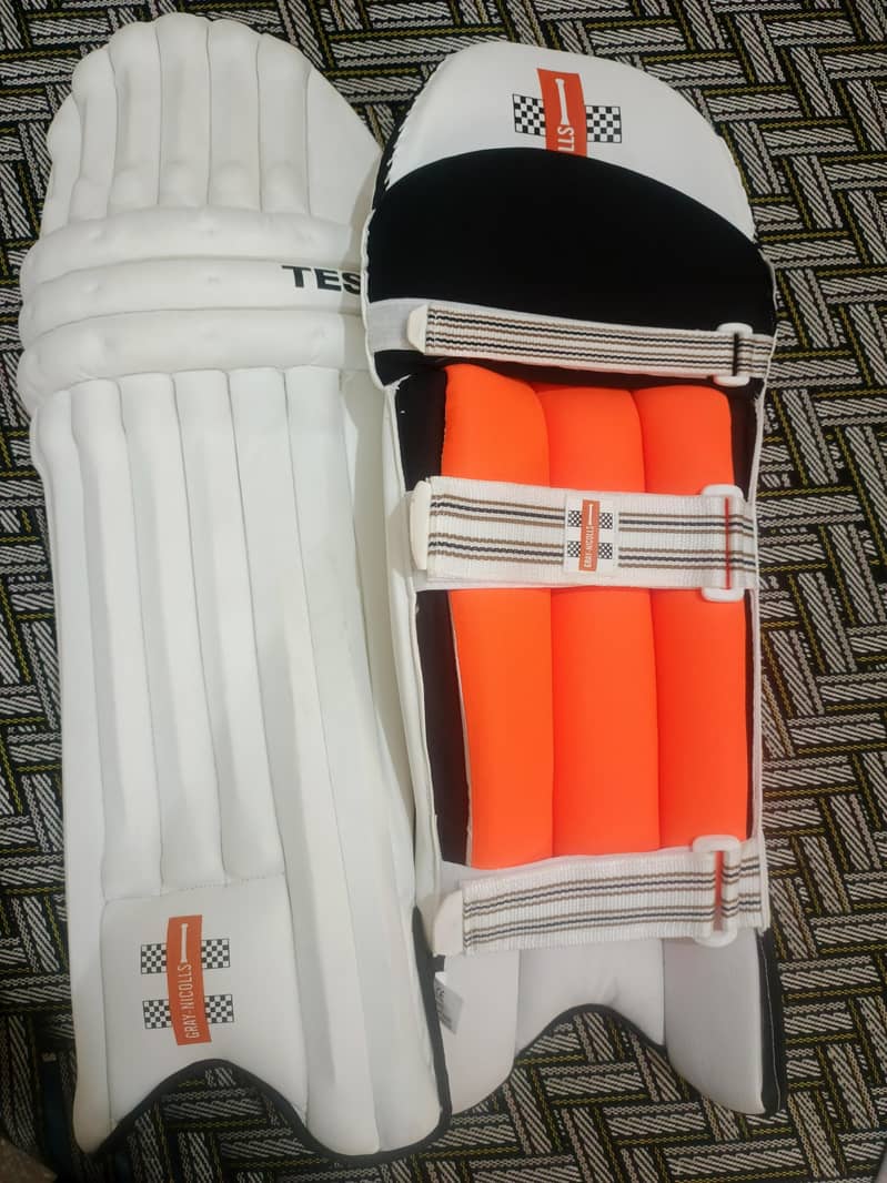 cricket pad 2