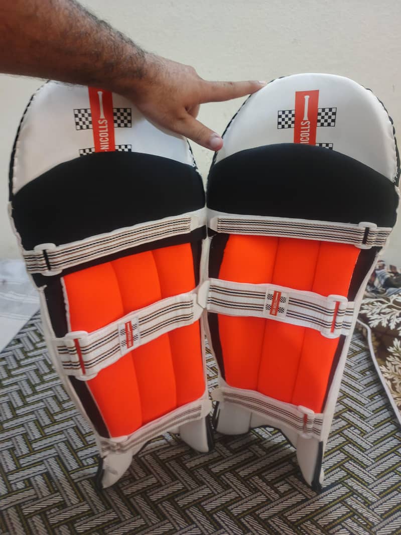 cricket pad 3