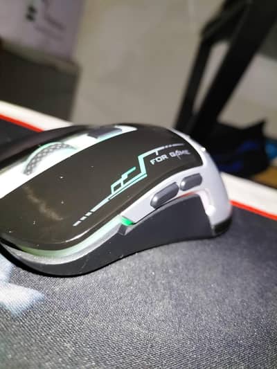 Different Mouse for Sale 100% Ok cheaper than market