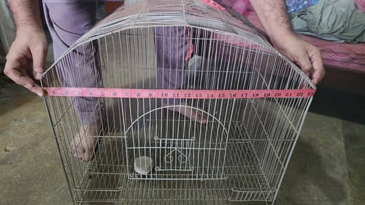 Bird Cage