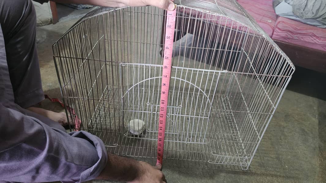 Bird Cage 1
