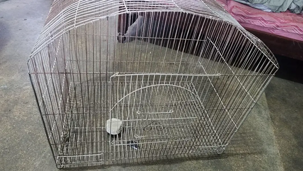 Bird Cage — photo 3