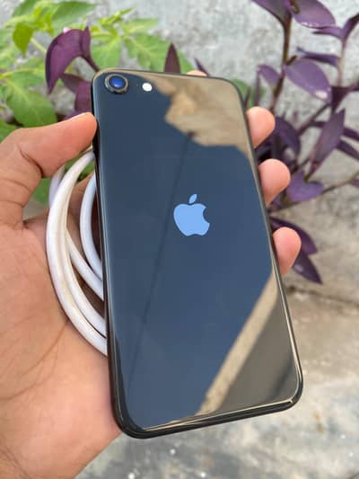 Apple iPhone SE 2020 all oky.