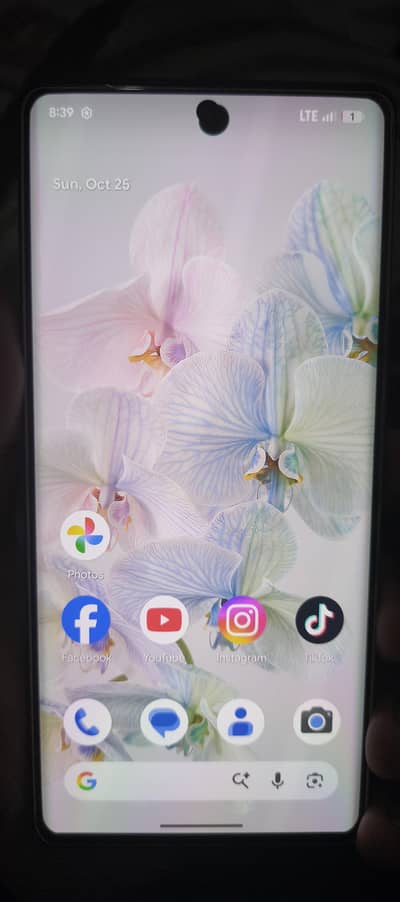 Google Pixel 6 Pro