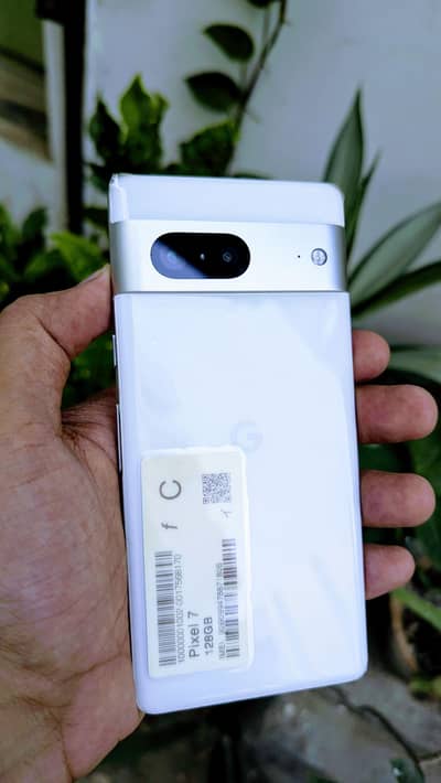Google Pixel 7 Pta chip approved 10/10 fresh (last pic Whatsapp)