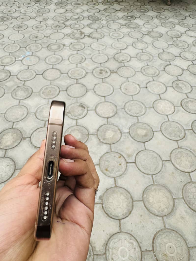 Apple iPhone 16 Pro Max 1