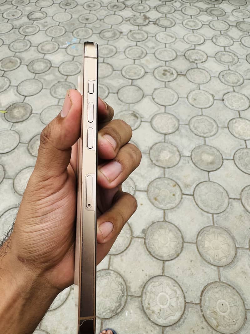 Apple iPhone 16 Pro Max 3