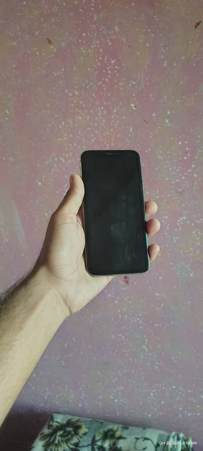 Apple iPhone X PTA 256