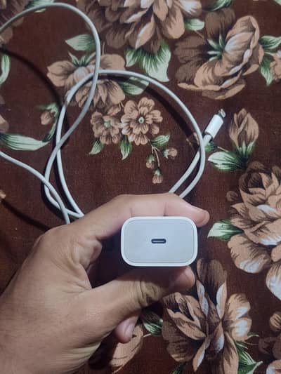 Iphone 20w 2pin original charger