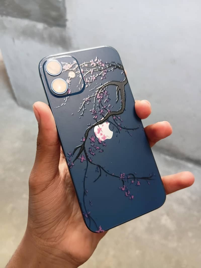 Apple iPhone 12 mini 1