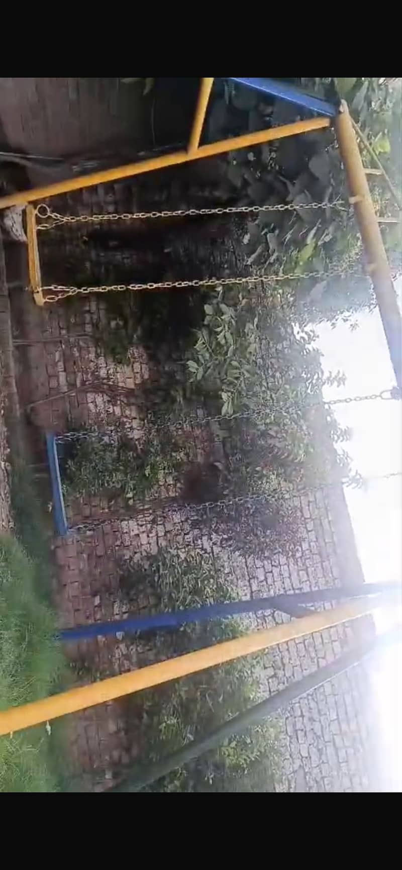 Swings 1