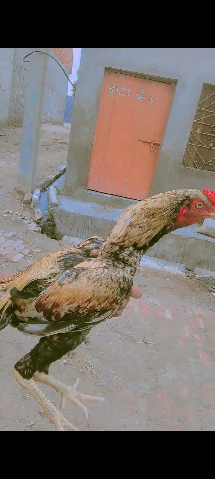 6 mahina ka baccha ha abhi — photo 3