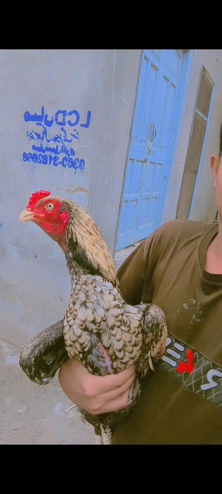 6 mahina ka baccha ha abhi — photo 4