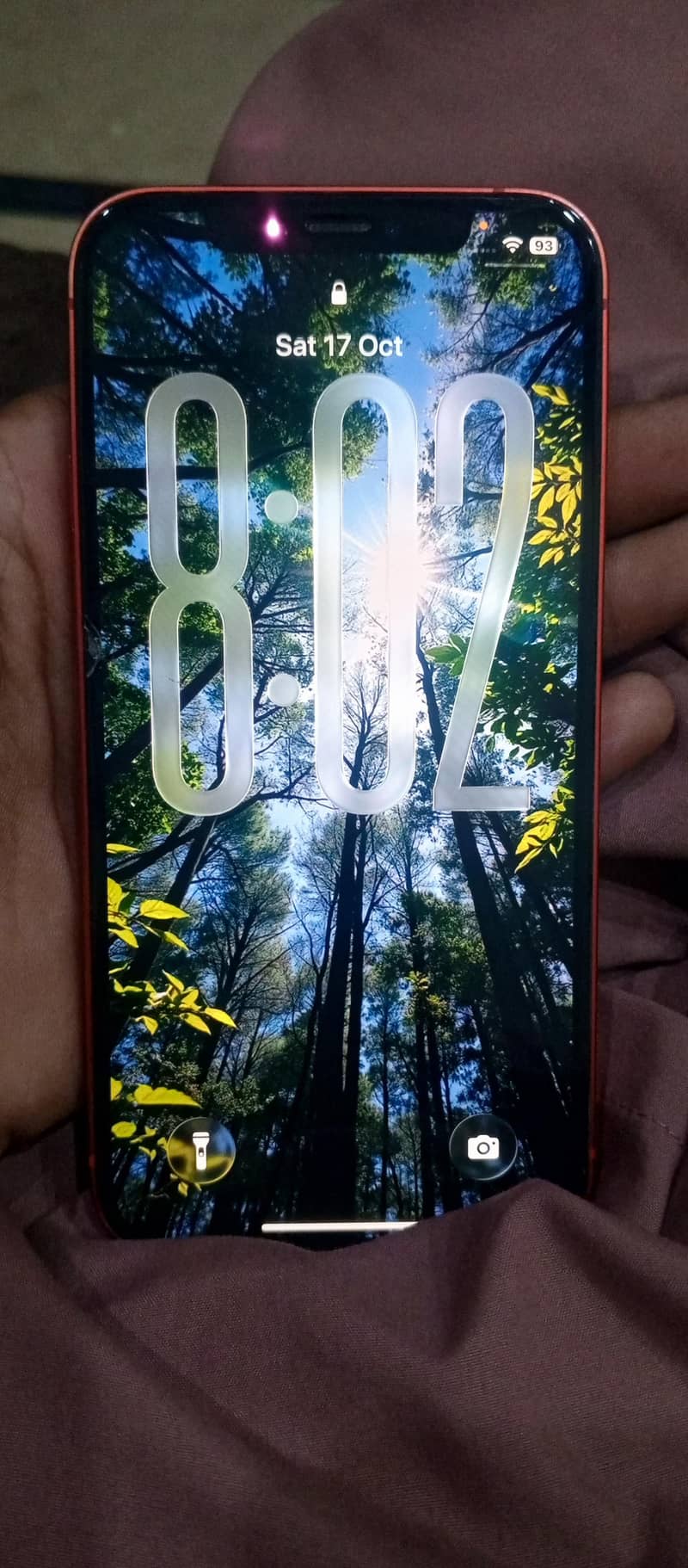 Apple iPhone 12 1