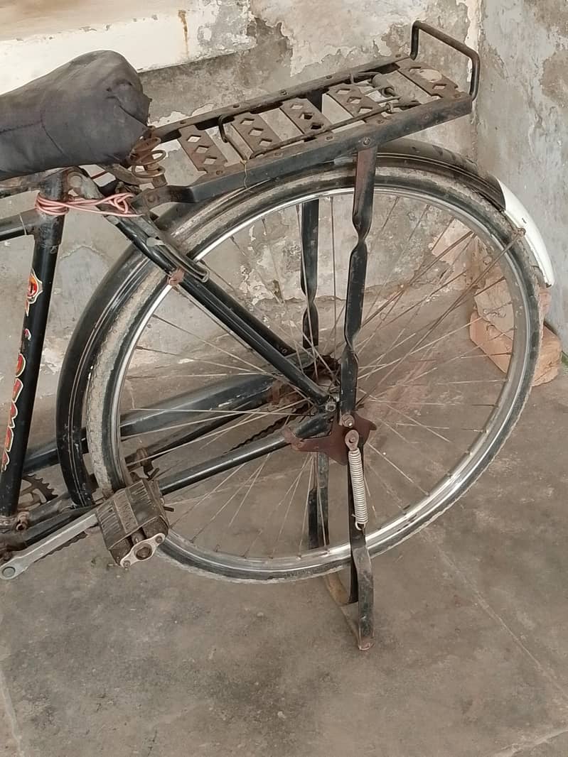 Sohrab Baba cycle 5