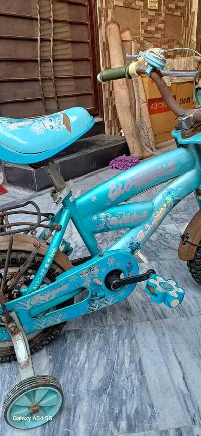china bicycle