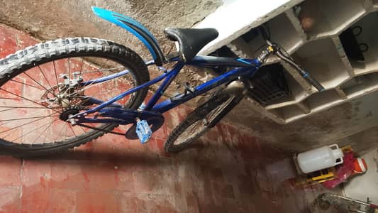 serius cycle