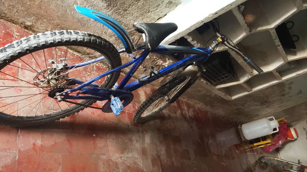 serius cycle 0