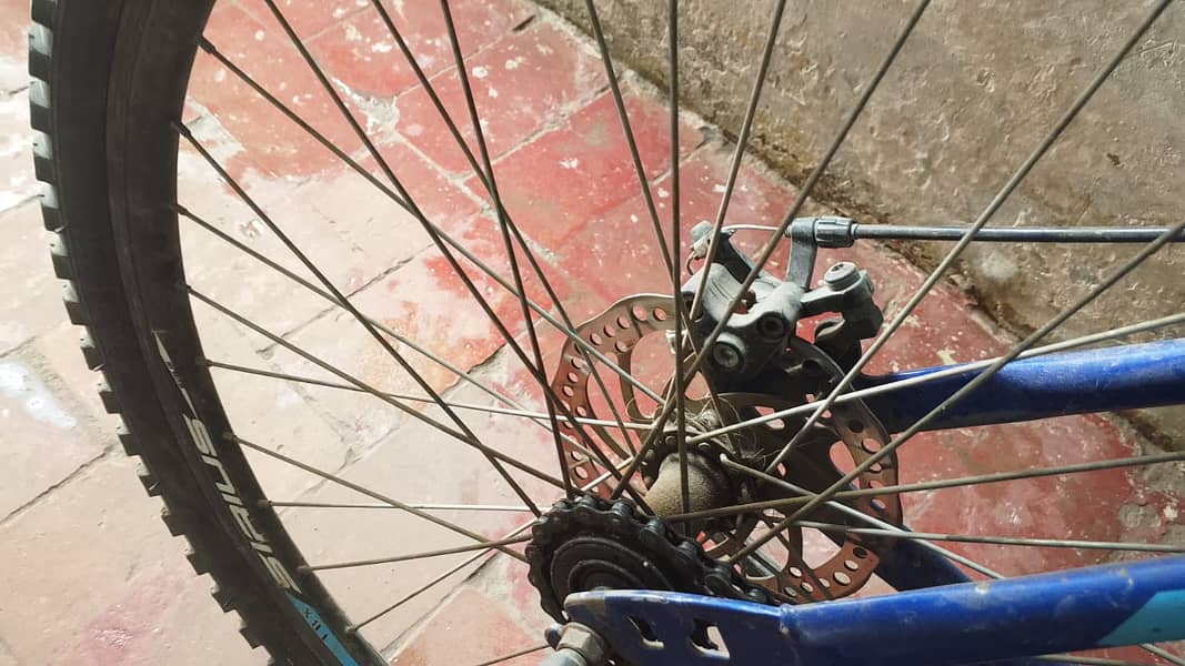 serius cycle 2