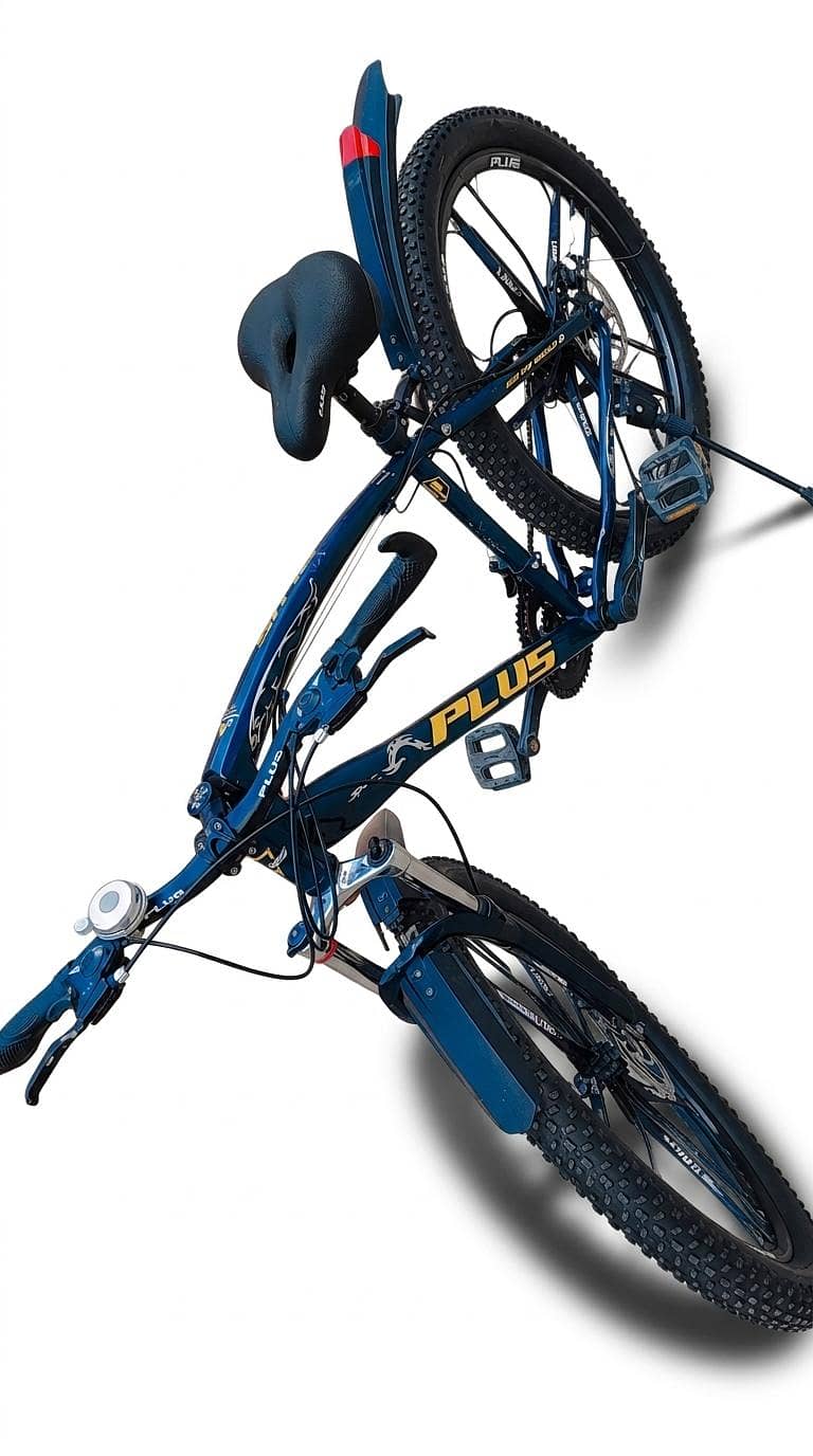 Bicycle 1
