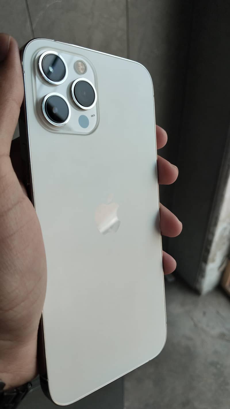 Apple iPhone 12 Pro Max MDM 1