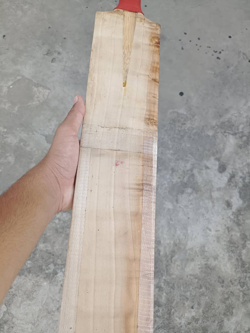 cricket bat 0