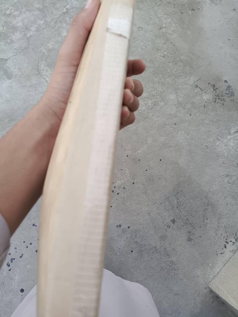 cricket bat 1