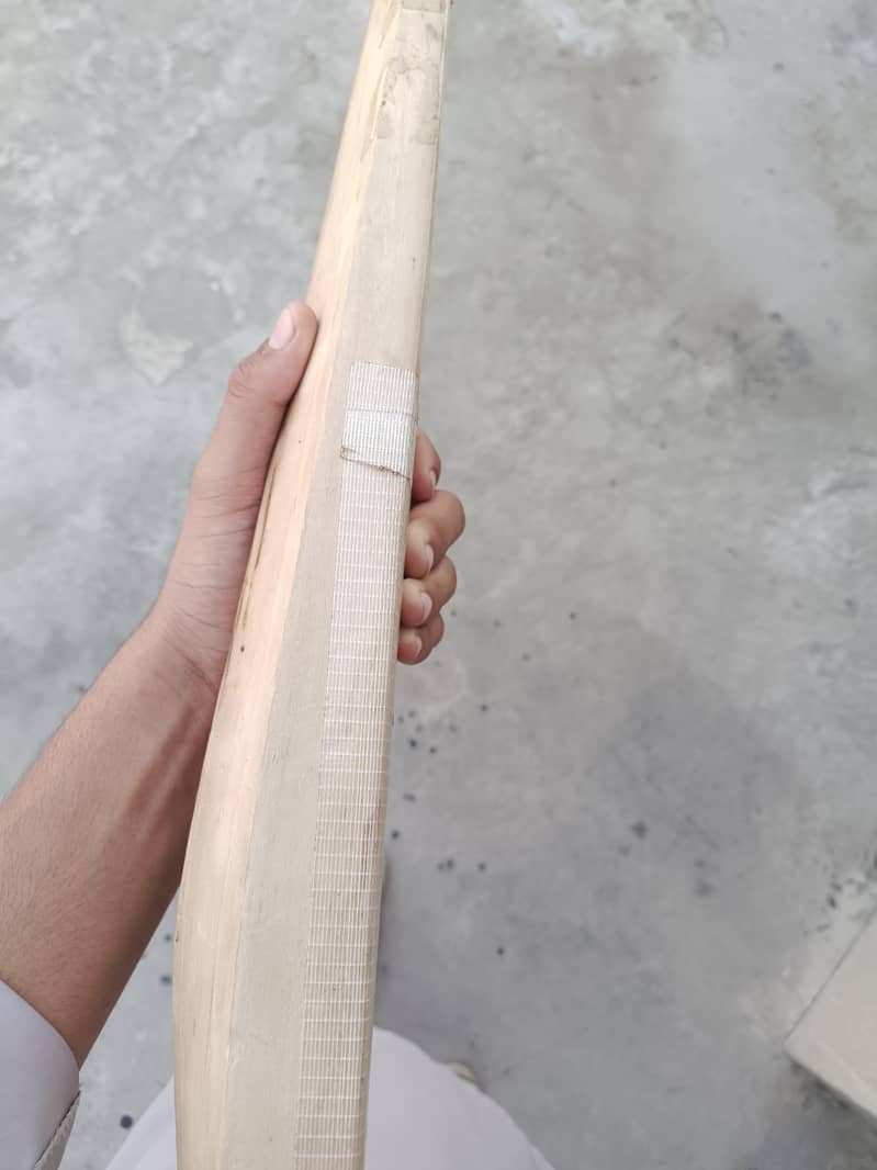 cricket bat 3
