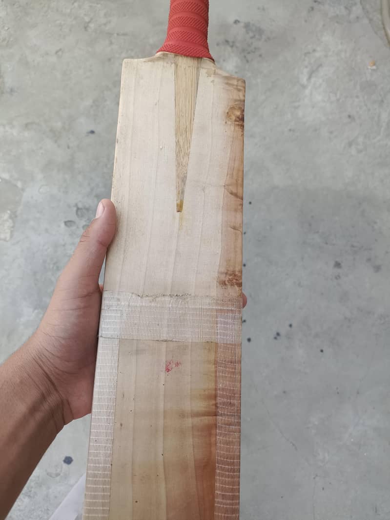 cricket bat 5