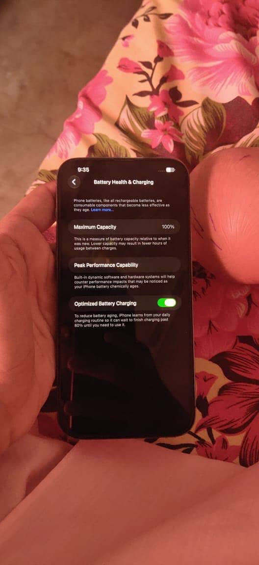 Apple iPhone 13 Pro Max 3