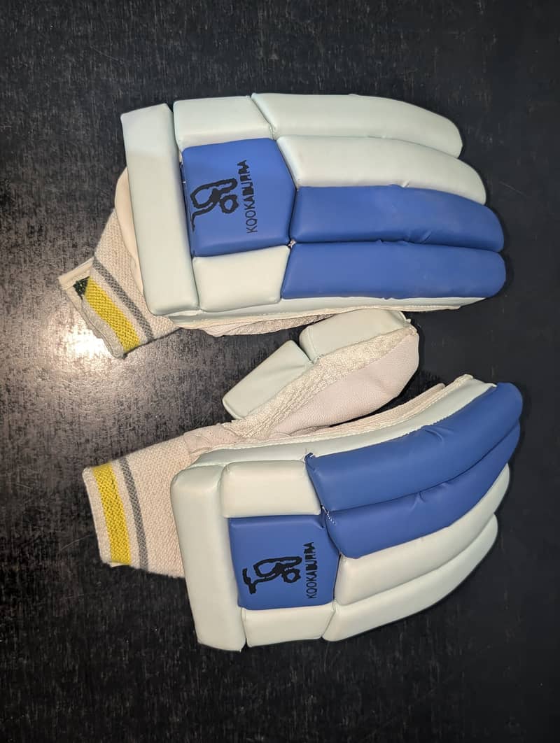 Complete Cricket hard kit 1