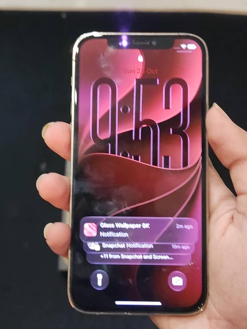 Apple iPhone 12 Pro 3
