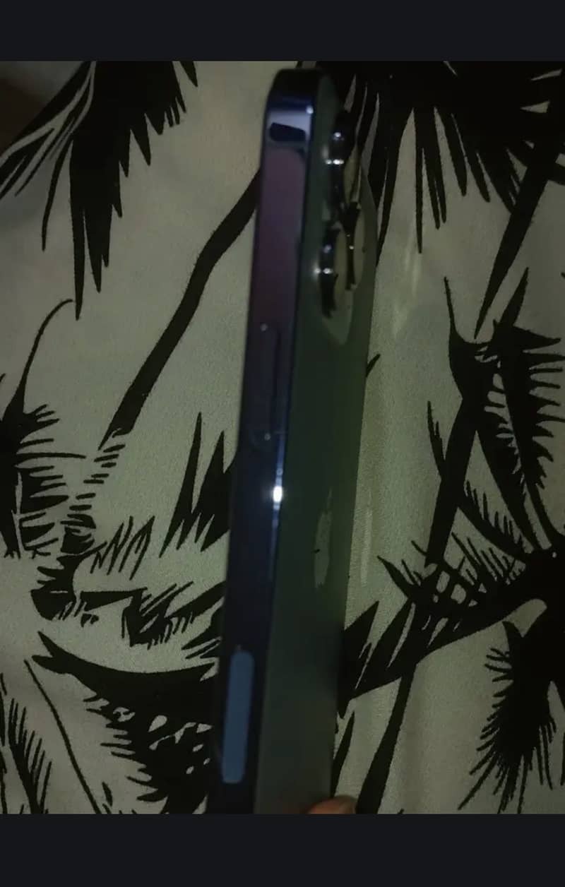 Apple iPhone 13 Pro Max 7