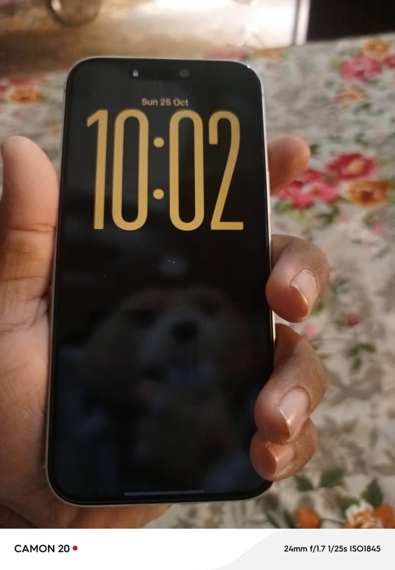 Apple iPhone 17 Pro Max 1