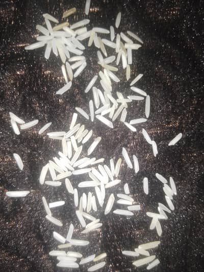 rice basmati