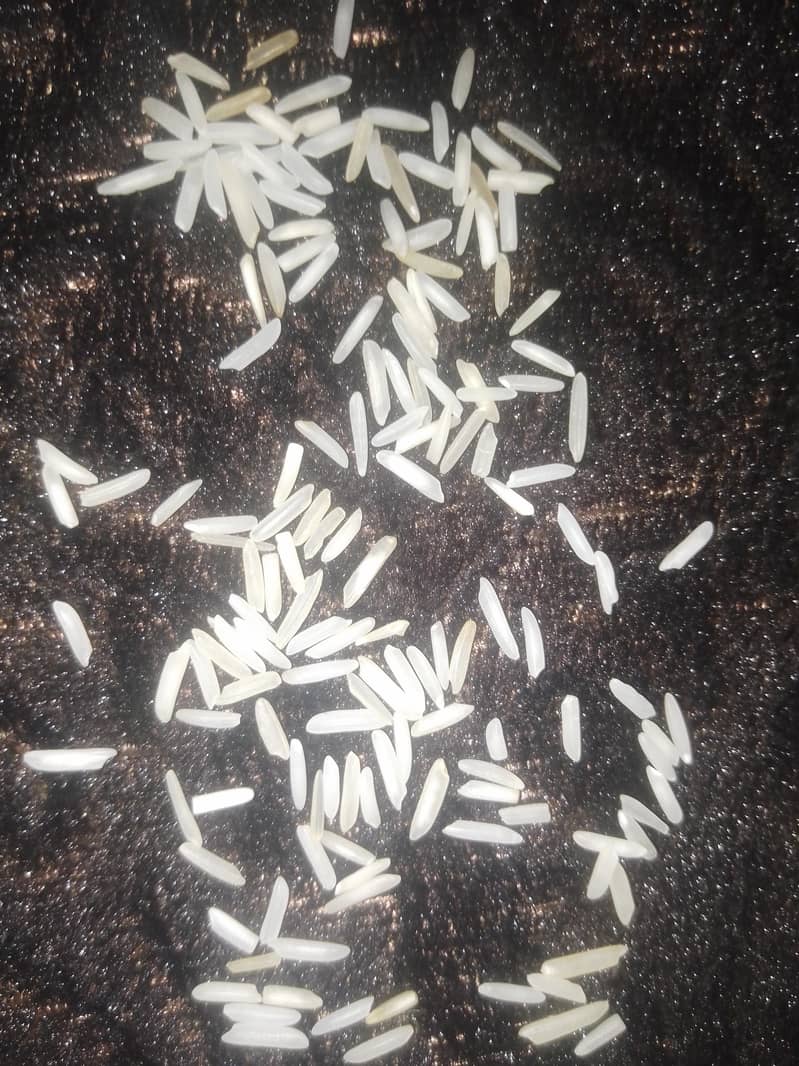 rice basmati 0
