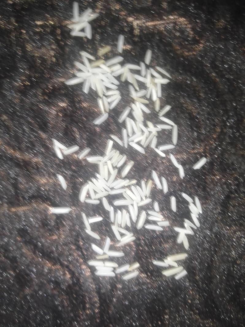 rice basmati 1