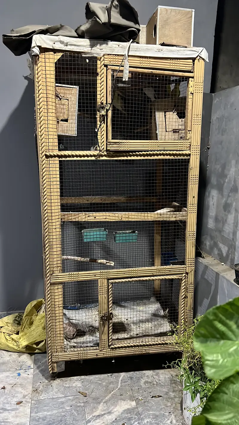 Wooden heavy cage — photo 2