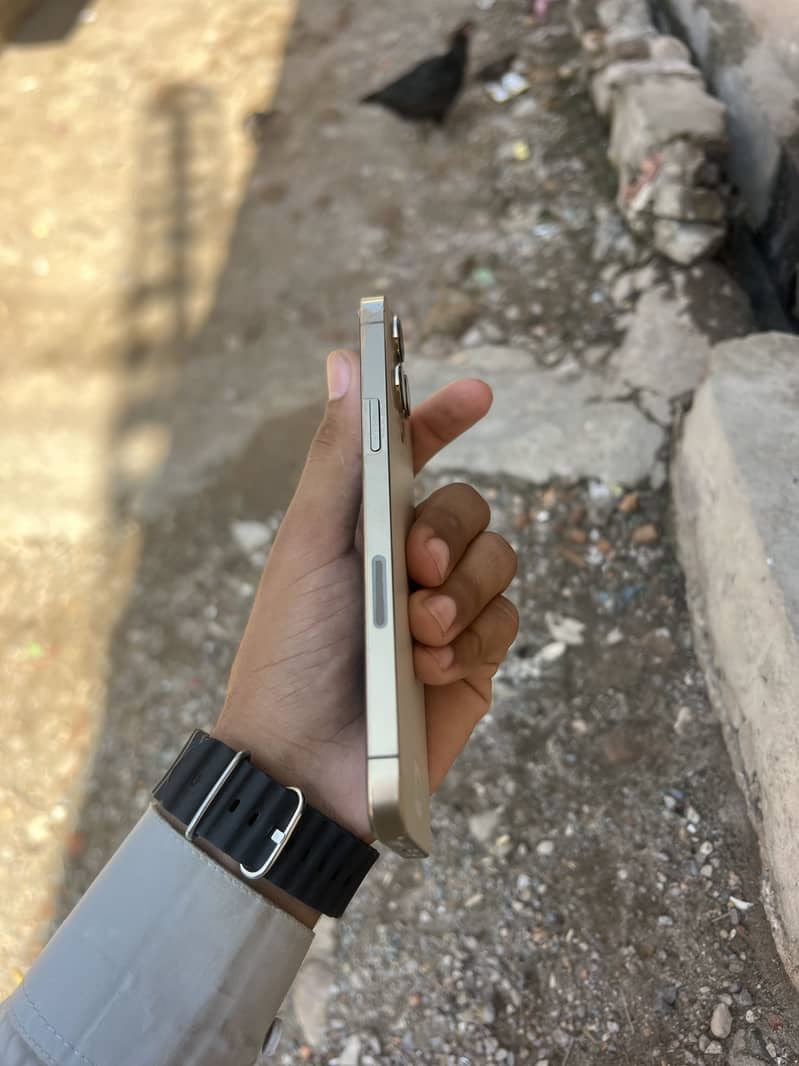 Apple iPhone 13 Pro Max 1
