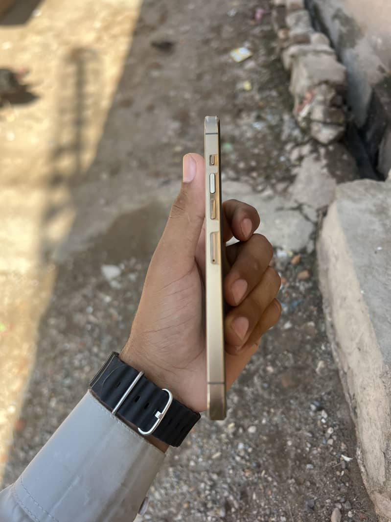 Apple iPhone 13 Pro Max 2