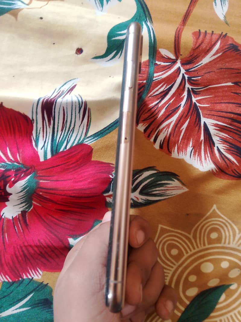 Apple iPhone XS Max 4