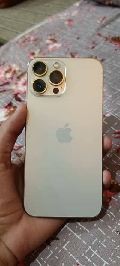 Apple iPhone 13 Pro Max